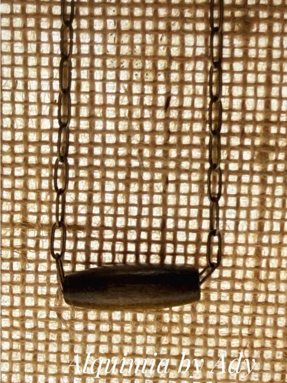 Alquimia Gold-Tone Chain Necklace with Brown Wood Bead
